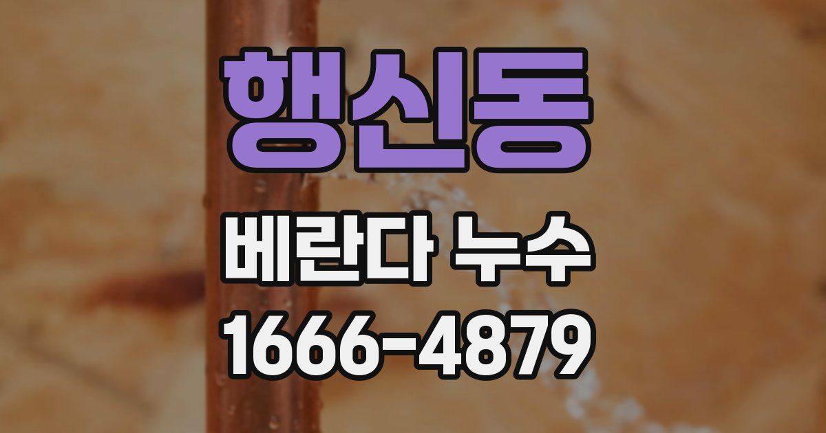 행신동 베란다 누수