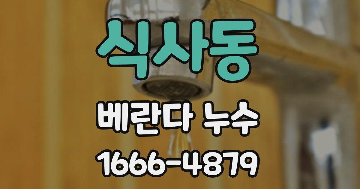 식사동 베란다 누수