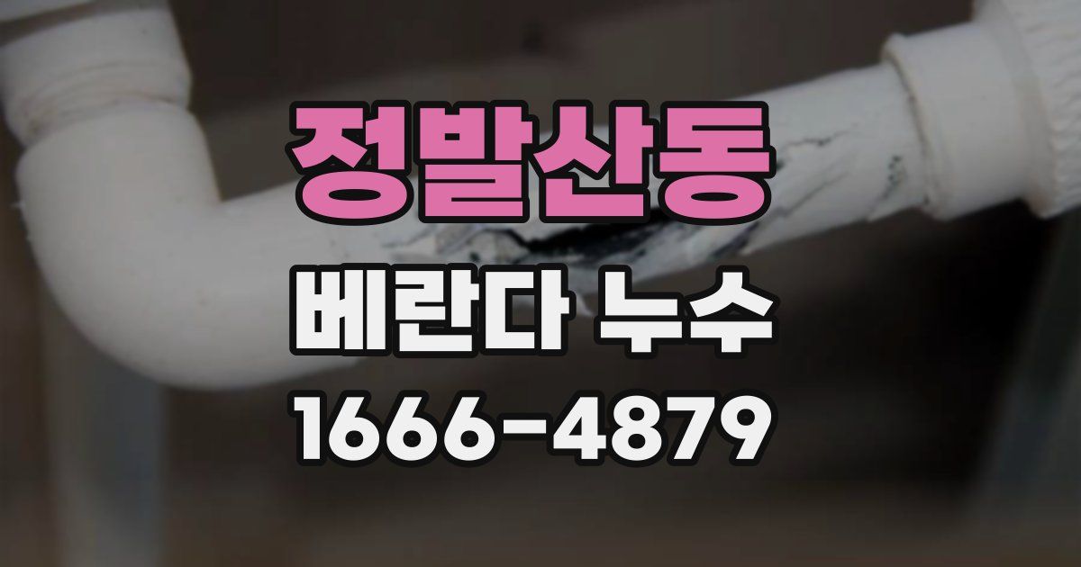 정발산동 베란다 누수