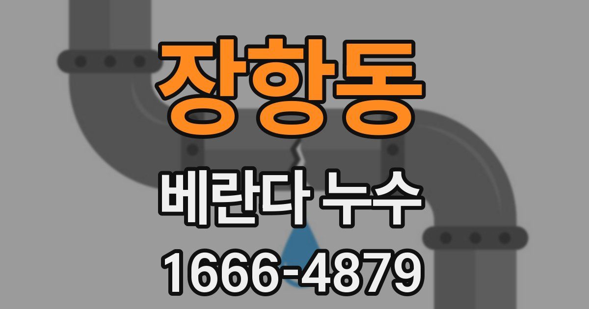 장항동 베란다 누수