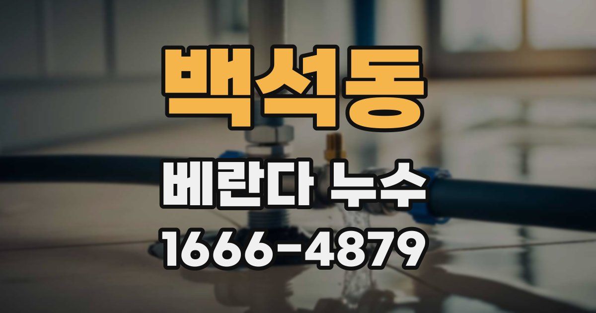 백석동 베란다 누수