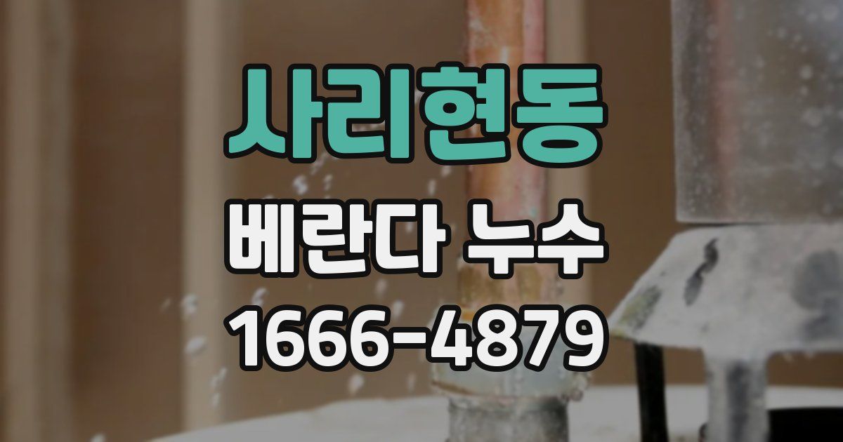사리현동 베란다 누수