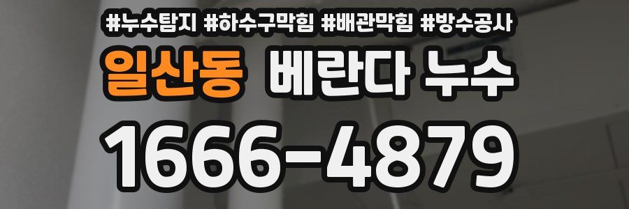 일산동 베란다 누수