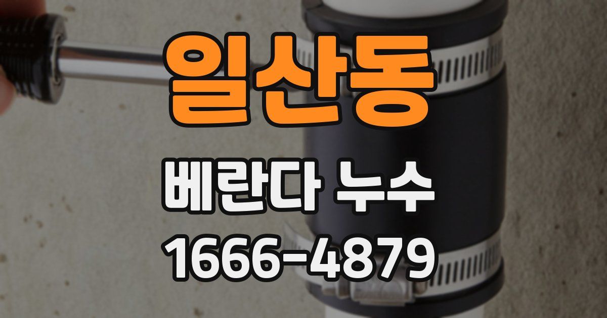 일산동 베란다 누수