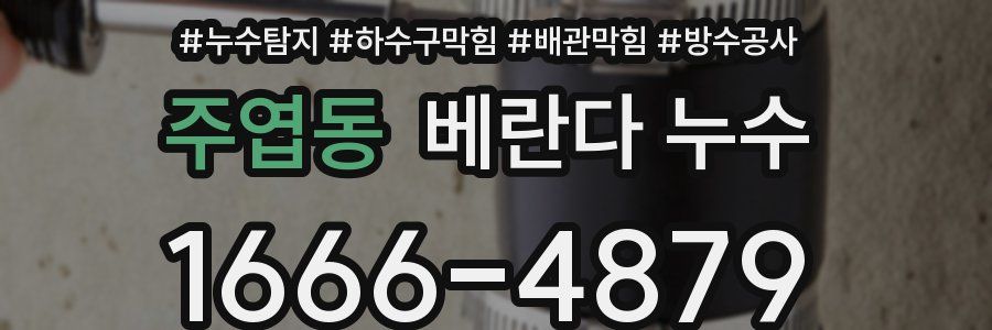 주엽동 베란다 누수
