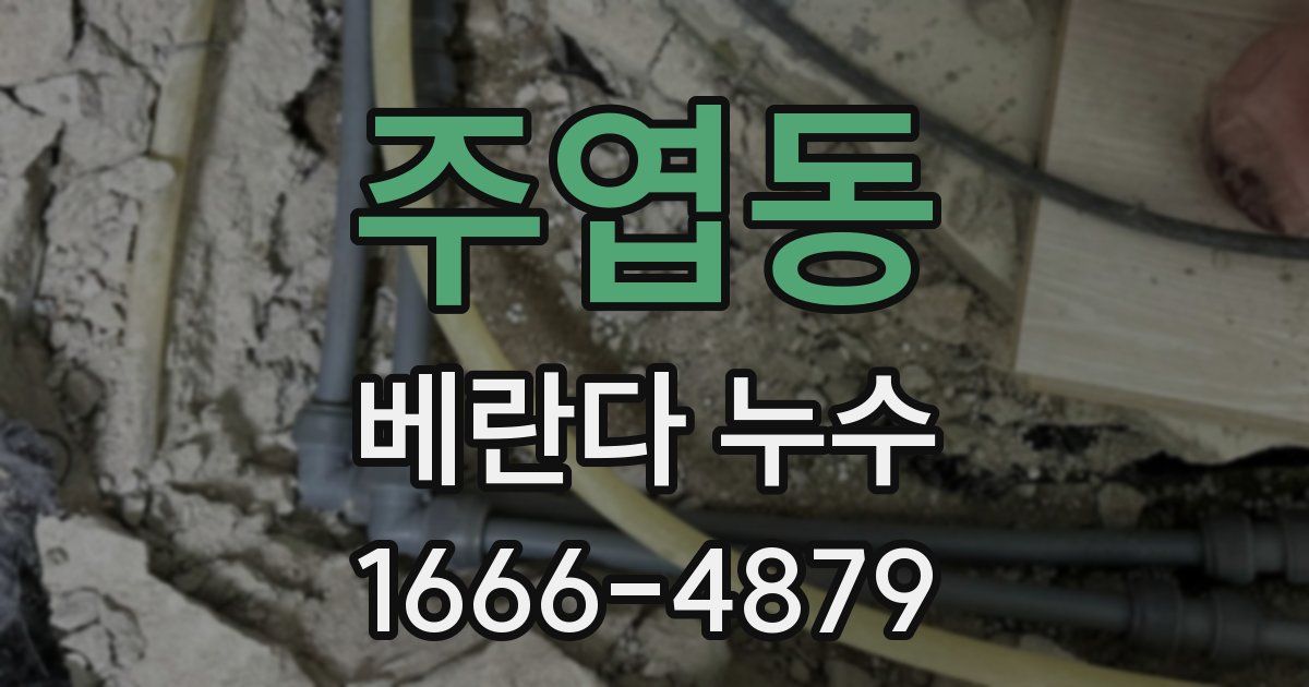 주엽동 베란다 누수