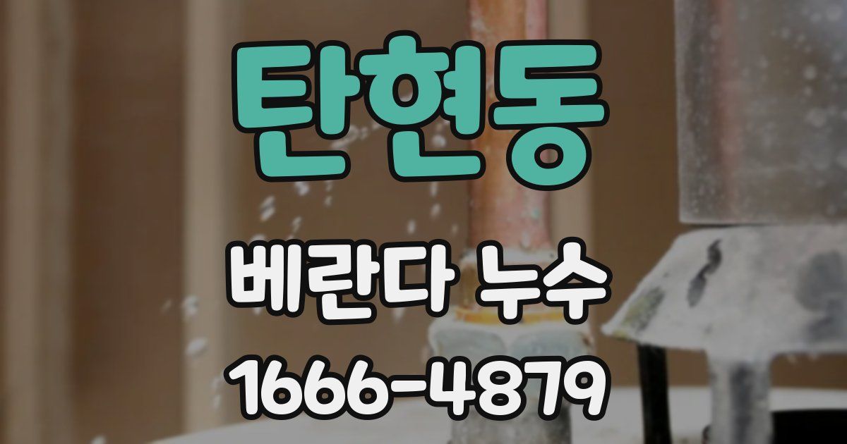 탄현동 베란다 누수