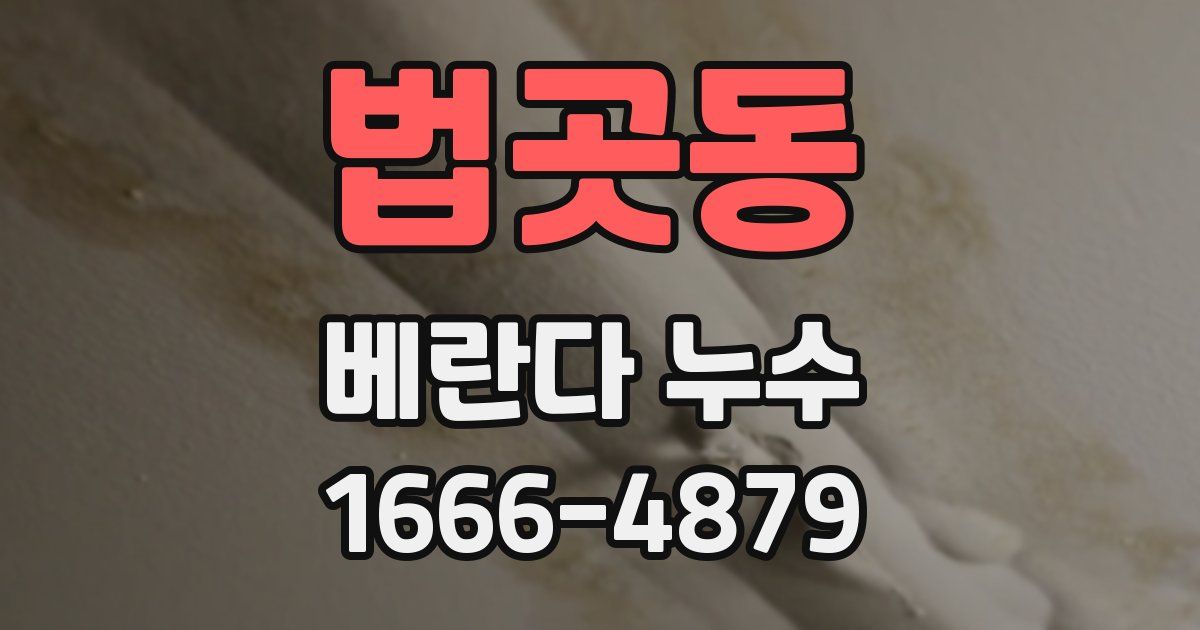 법곳동 베란다 누수