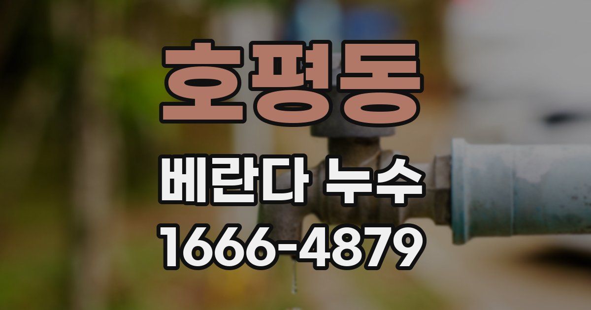 호평동 베란다 누수