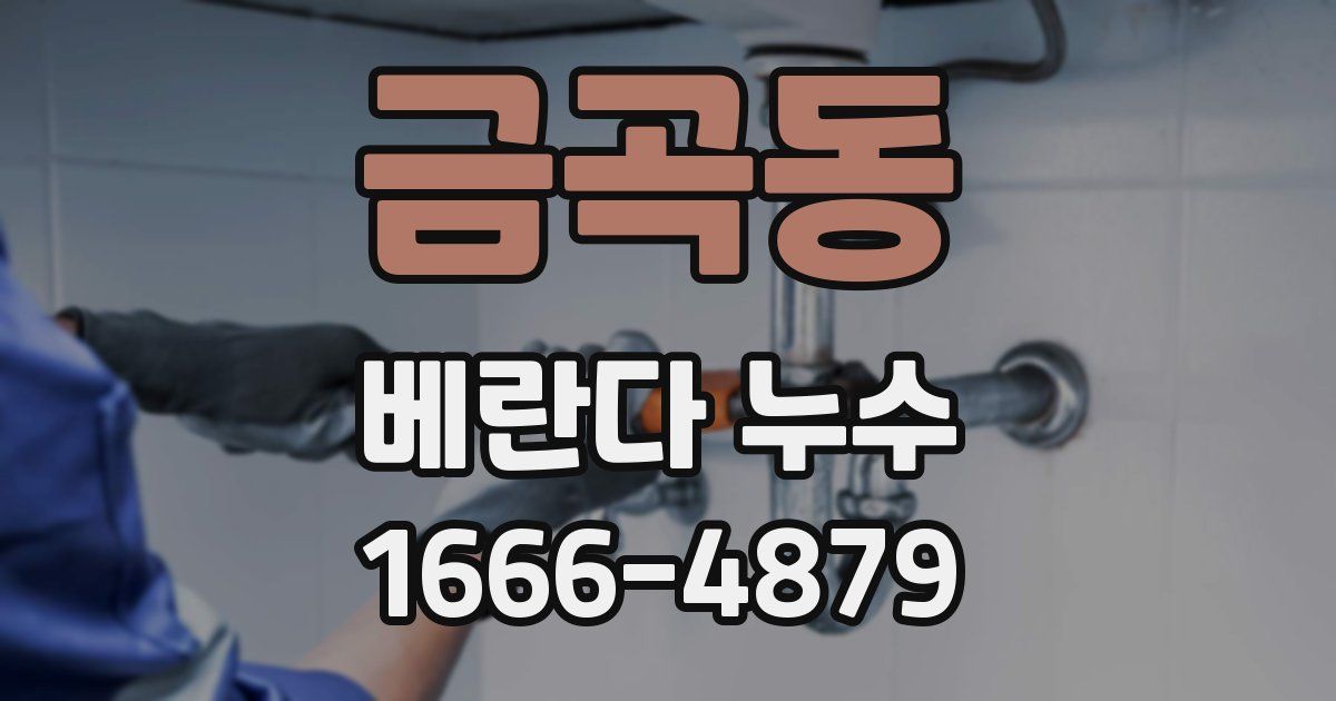 금곡동 베란다 누수