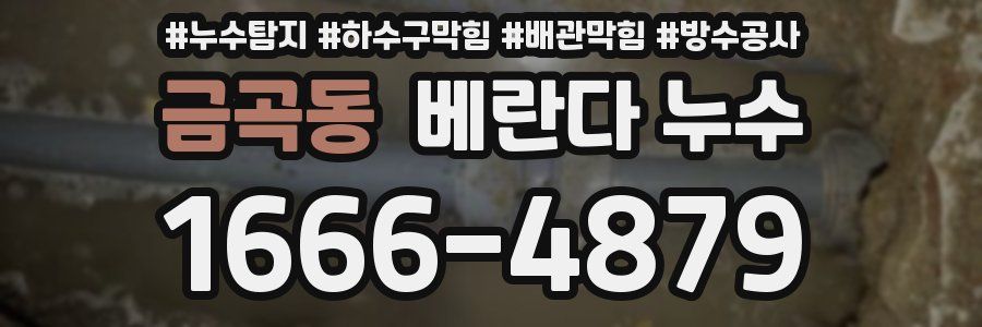 금곡동 베란다 누수