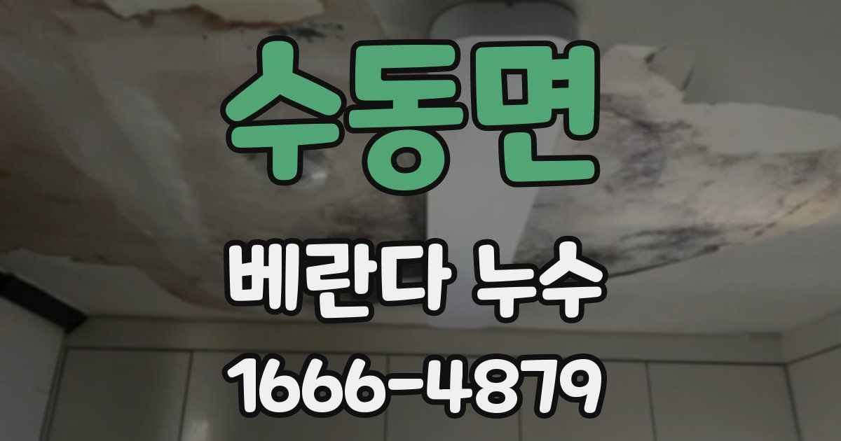 수동면 베란다 누수