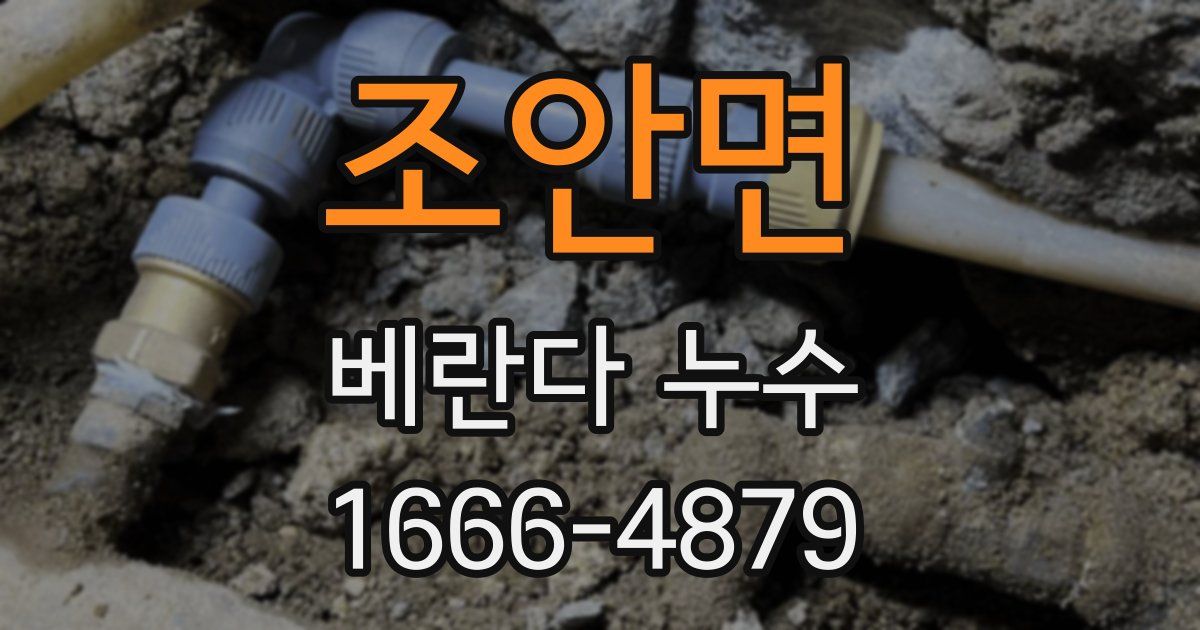 조안면 베란다 누수