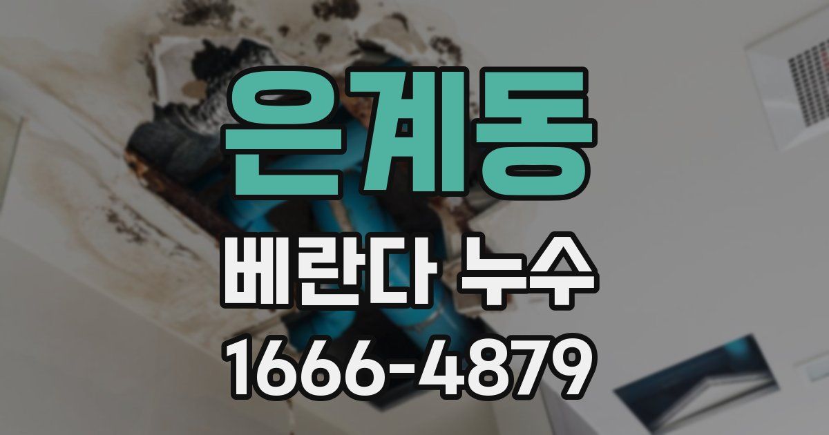 은계동 베란다 누수