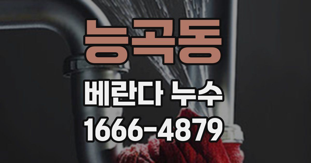 능곡동 베란다 누수