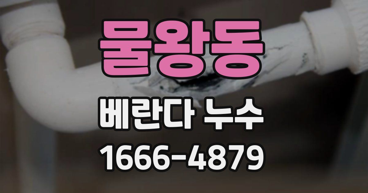 물왕동 베란다 누수