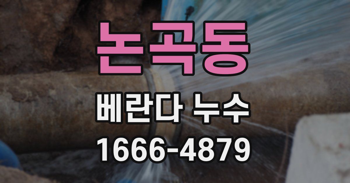 논곡동 베란다 누수
