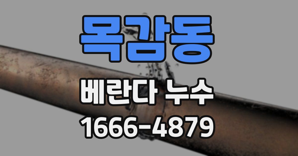 목감동 베란다 누수