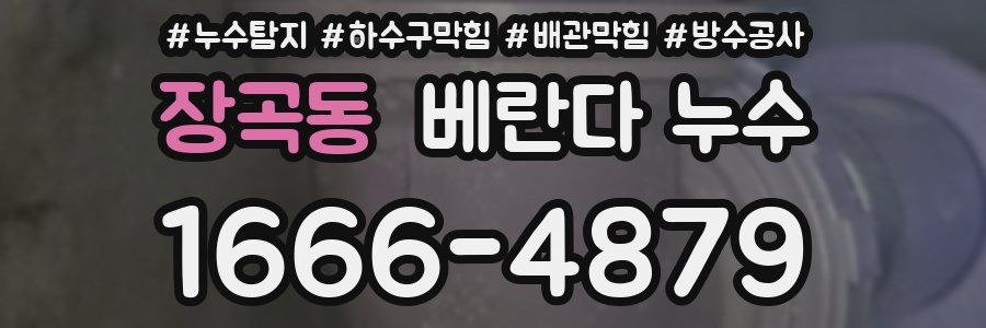 장곡동 베란다 누수
