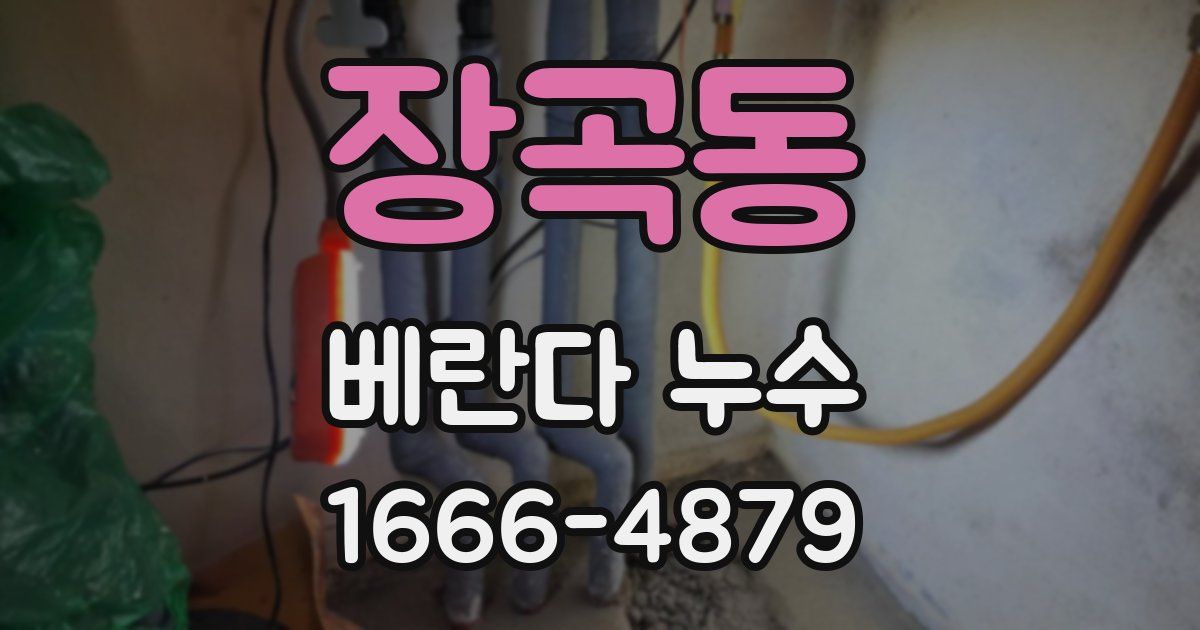 장곡동 베란다 누수
