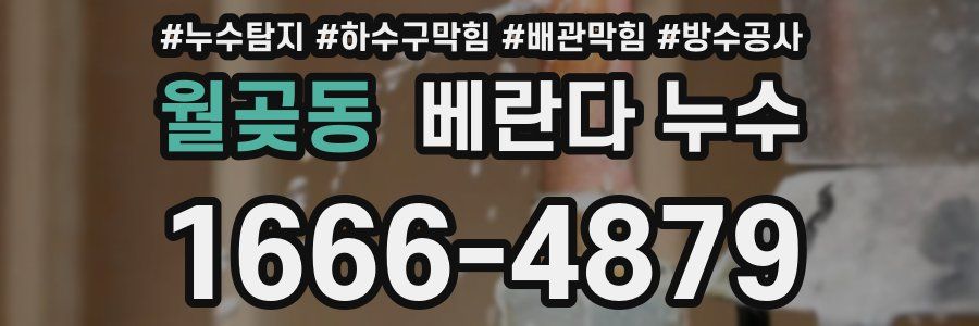 월곶동 베란다 누수