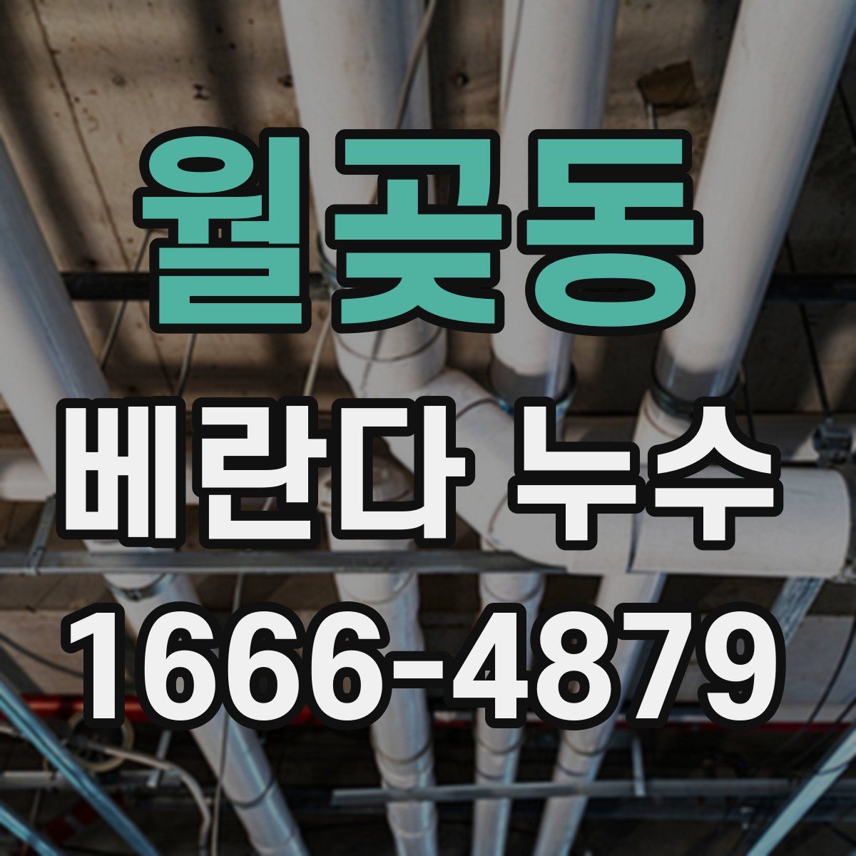 월곶동 베란다 누수