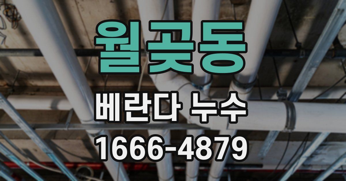월곶동 베란다 누수