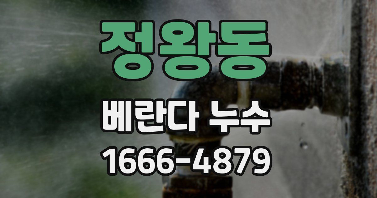 정왕동 베란다 누수