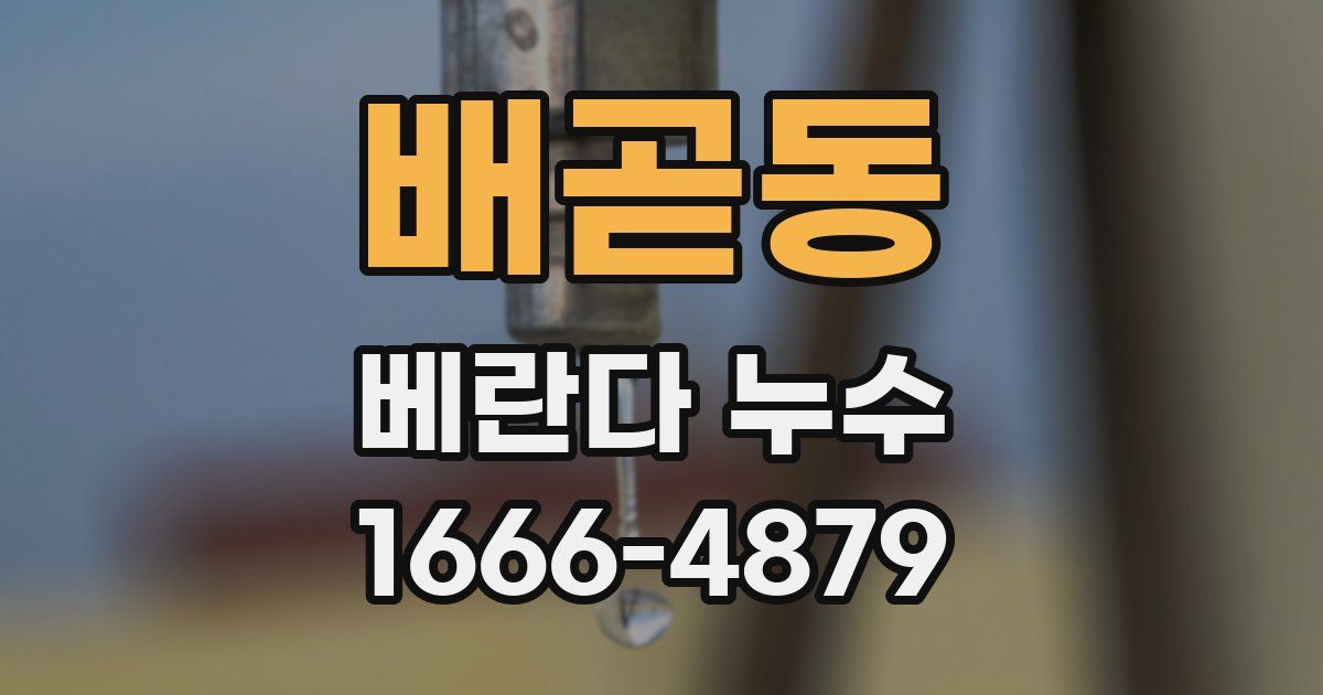 배곧동 베란다 누수