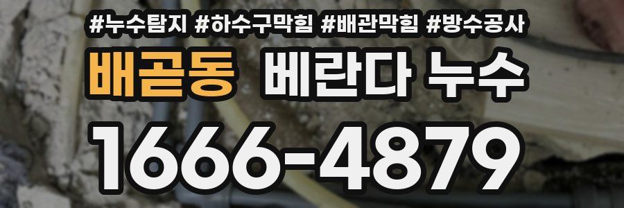 배곧동 베란다 누수