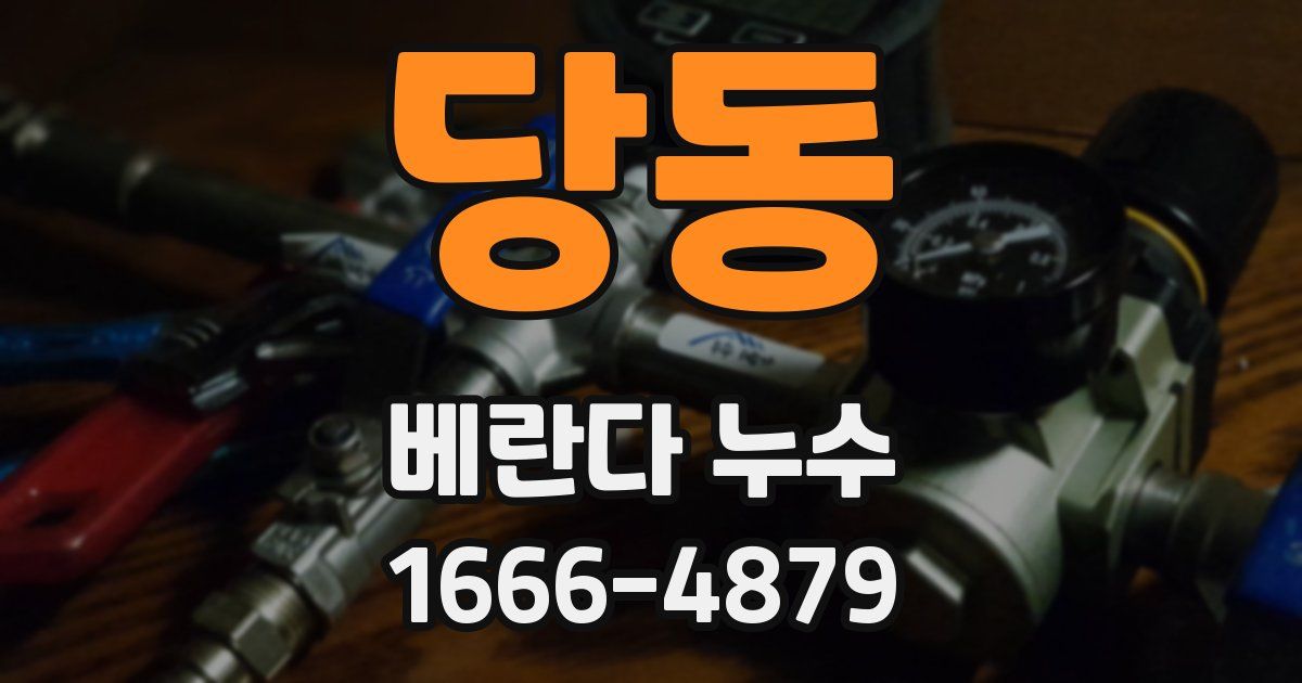당동 베란다 누수