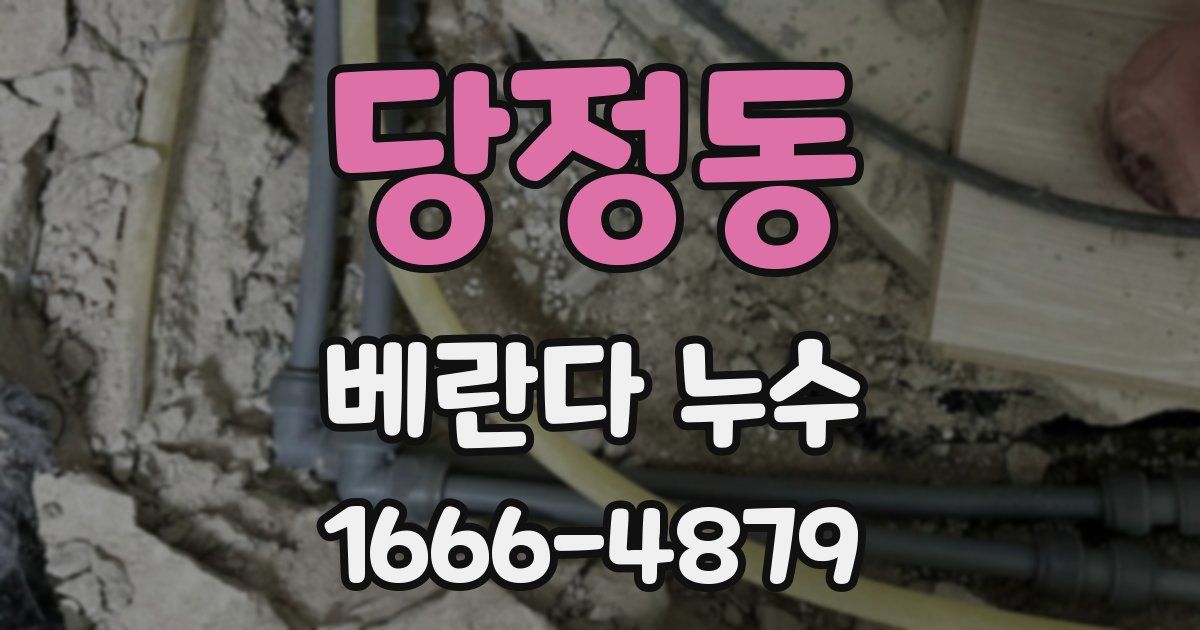 당정동 베란다 누수