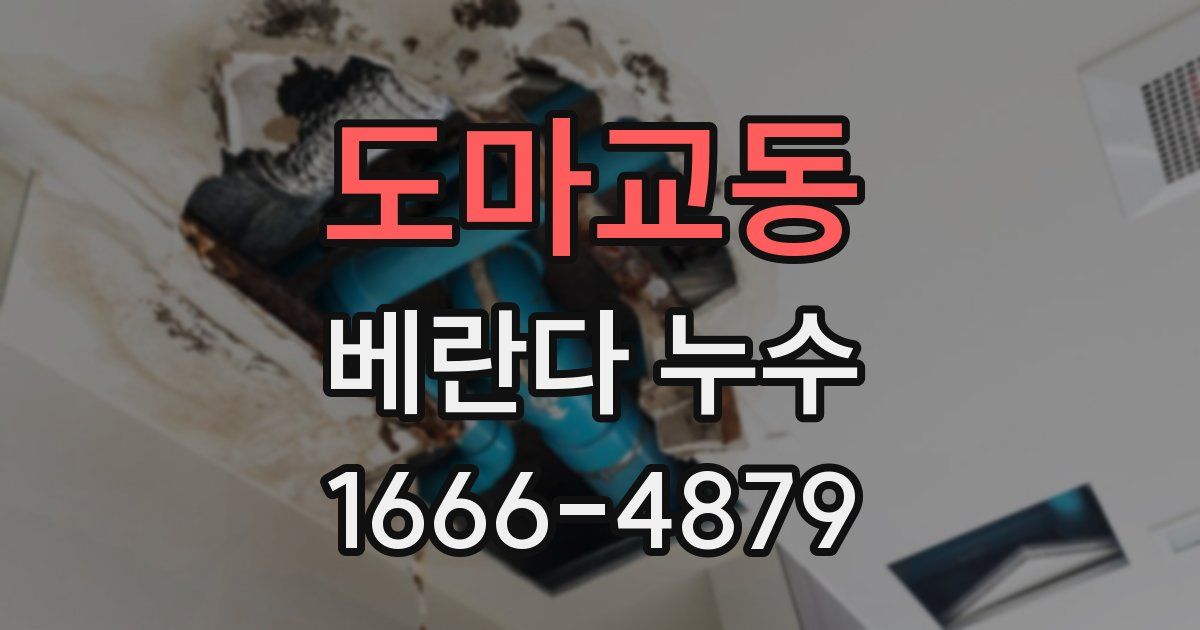 도마교동 베란다 누수