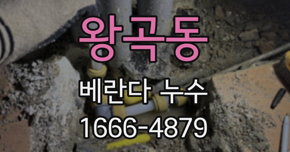 왕곡동 베란다 누수