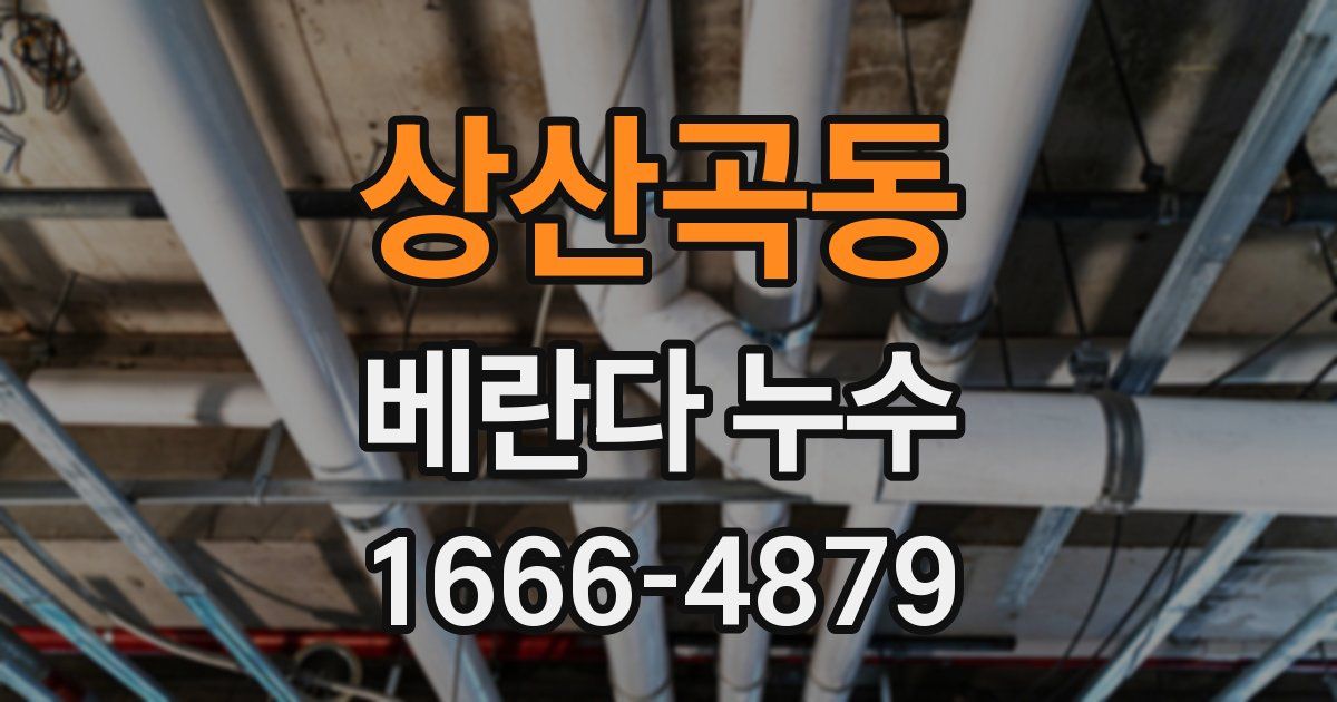 상산곡동 베란다 누수
