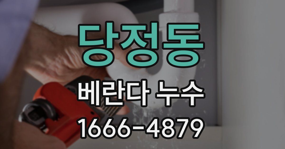 당정동 베란다 누수