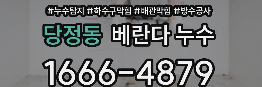 당정동 베란다 누수