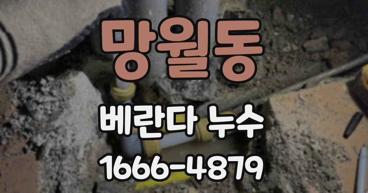 망월동 베란다 누수