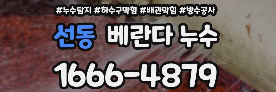 선동 베란다 누수
