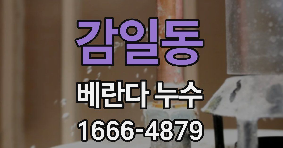 감일동 베란다 누수