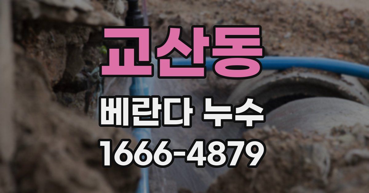 교산동 베란다 누수