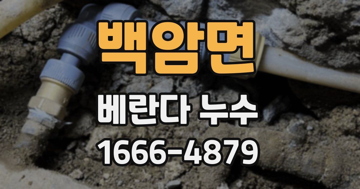백암면 베란다 누수