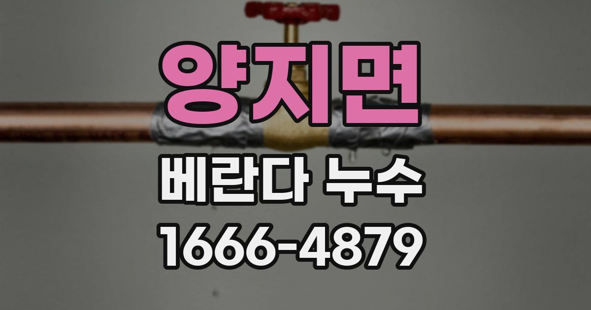 양지면 베란다 누수