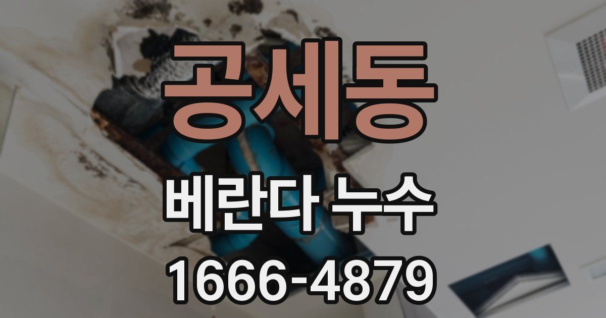 공세동 베란다 누수