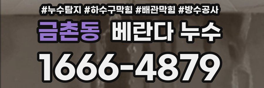 금촌동 베란다 누수