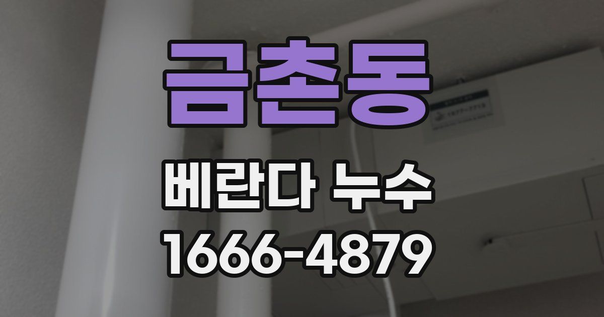 금촌동 베란다 누수