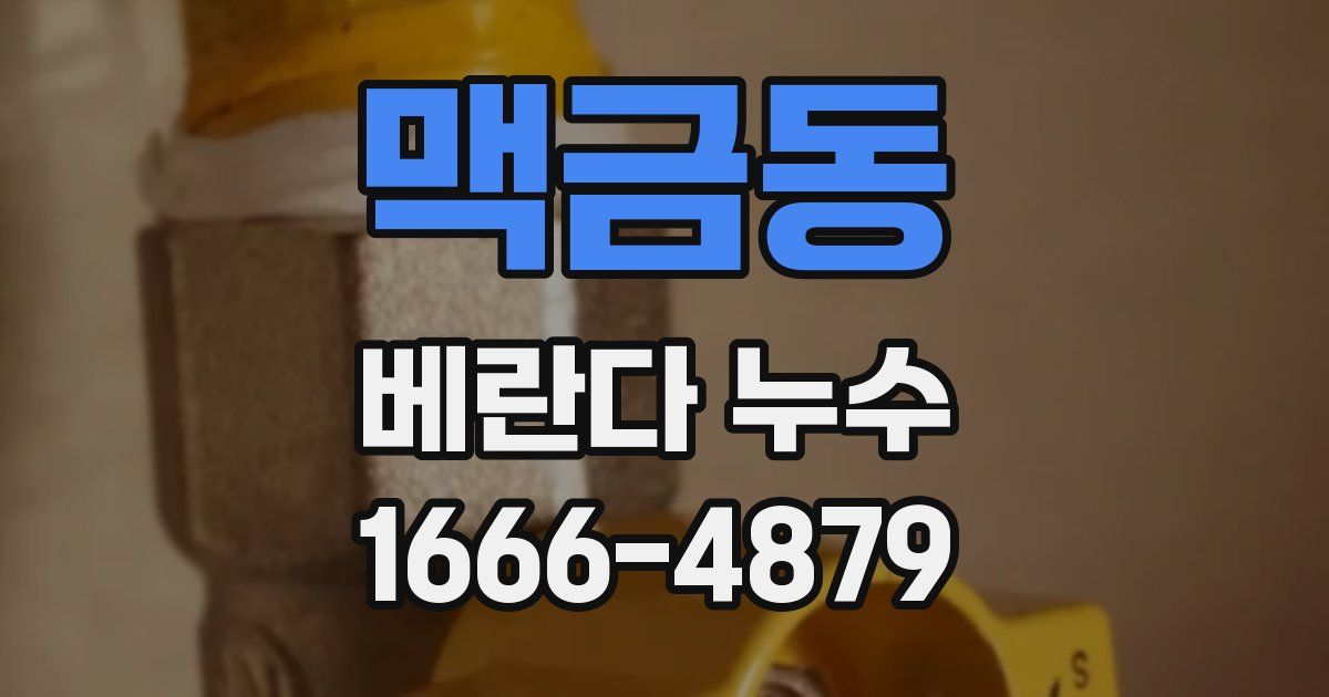 맥금동 베란다 누수