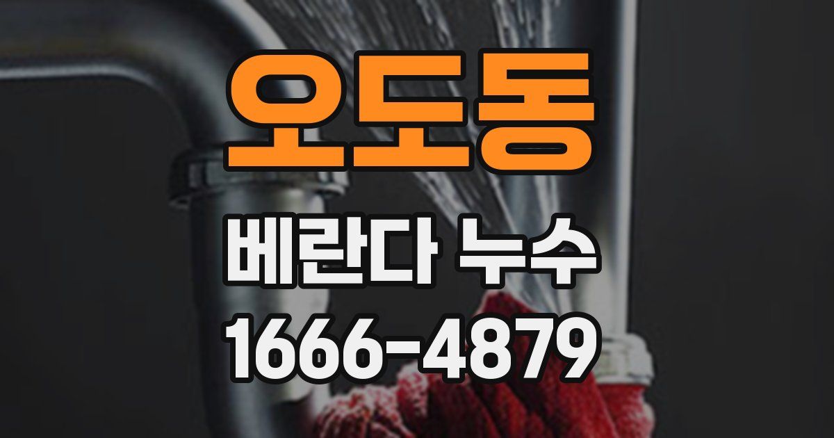 오도동 베란다 누수