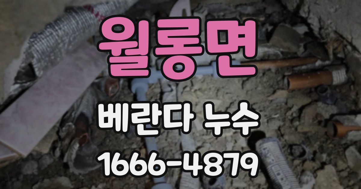 월롱면 베란다 누수