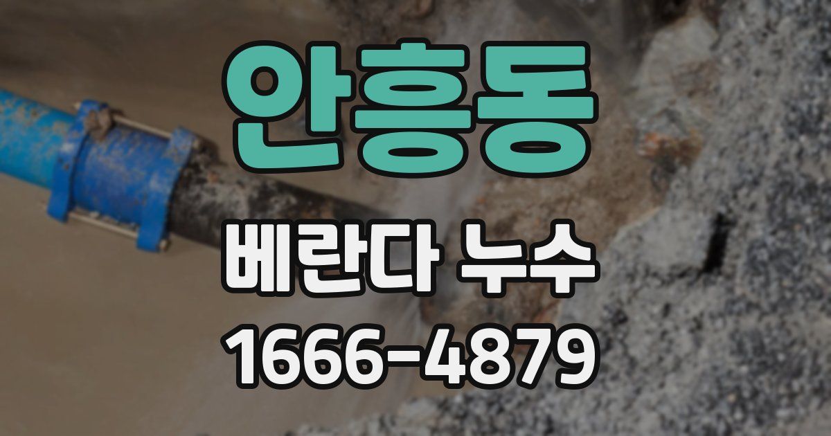 안흥동 베란다 누수